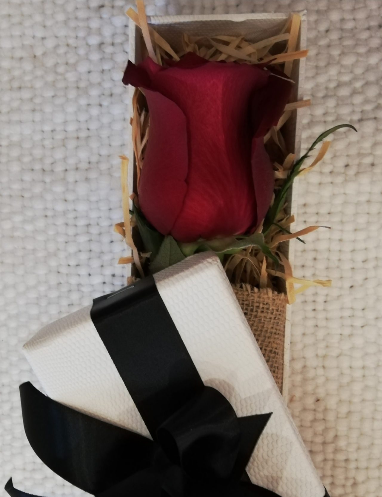 Special of the Month... Single Red Rose in a presentation Box