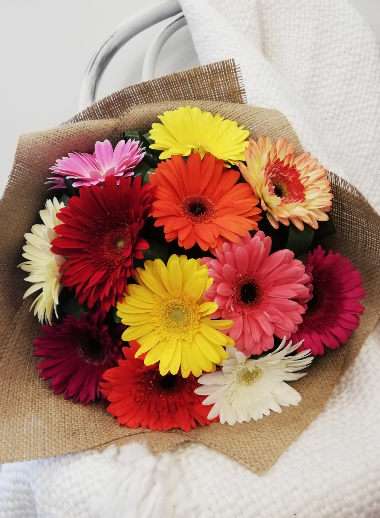 Gerbera Bouquet