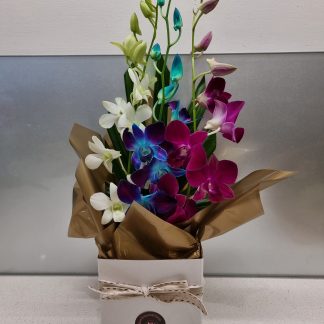 Perth Lockdown Specials orchid arrangement