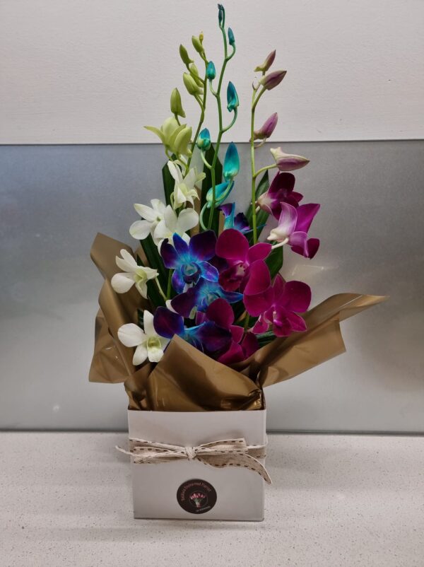 Perth Lockdown Specials orchid arrangement