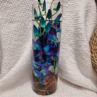 Perth Lock down Special.Orchid vase design