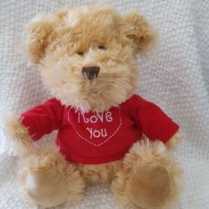 Ii love you traditional teddy