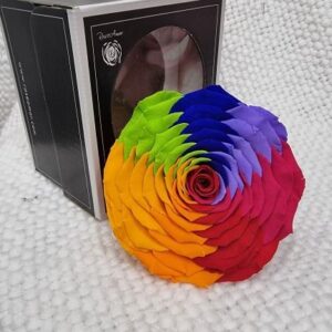 Preserved Rainbow rose