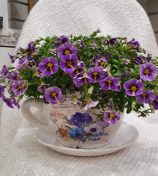A cup of blooms