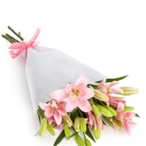 Lily wrap