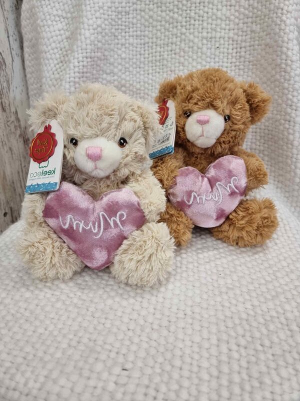 Eco Friendly Push Mum Teddies