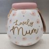 Lovely Mum, Money Pot of Dreams