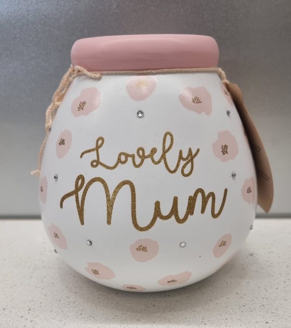 Lovely Mum, Money Pot of Dreams